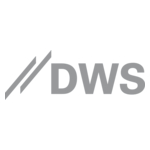 DWS_Grey_Logo.jpg