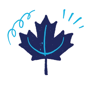 hand drawn illustration of a maple leaf